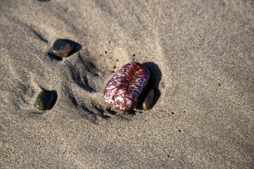 small colorful stone on the beach