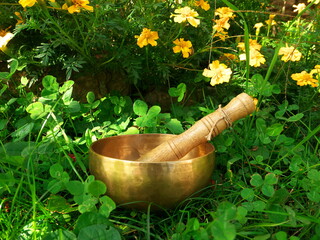 Fototapeta na wymiar Singing bowl placed in the grass with yellow flowers in background