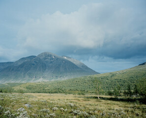 Fototapeta premium autumn in the mountains