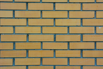 Red brick wall on a sunny day.