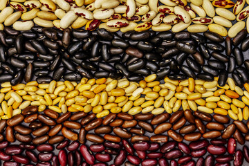 Set of various dry legumes scattered in stripes as indispensable protein for a healthy life