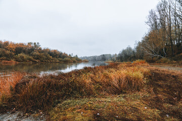 Obraz premium Autumn morning in rainy day with river and forest on the shores. Autumn landscape.