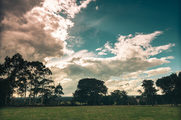 sunset over the field