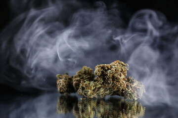 Cannabis branch and joint in the smoke on a black background. Marijuana legalization. Medical cannabis. Drug addiction.	