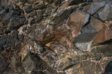 Closeup of wet rock surface near the Indian ocean