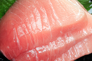 マグロの中トロ