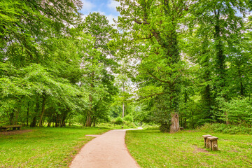 Forest of Dean Footpath