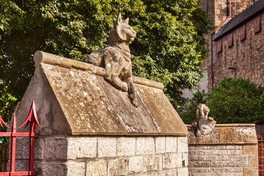 The Animal Wall In Cardiff City Centre.