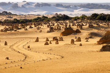 The Pinnacles, Nambung National Park