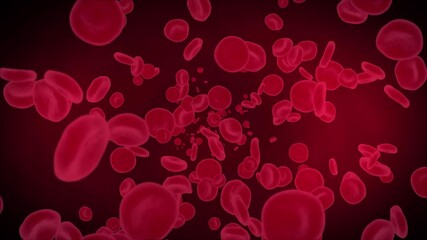 Red blood cells and particles flowing inside a human body Motion graphic 4K 3D Alpha Channel loop Animation. Health care, Science, covid 19, Medical, Pharmacy, Coronavirus, Medicine, Pharmaceutical, - Powered by Adobe