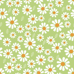 Obraz premium Seamless pattern with daisy flower on green background vector.