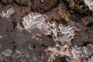 Formaciones de hielo en un arroyo