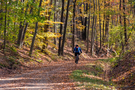 A photograph from behind of a a man biking on a rails to trails path during fall foliage season