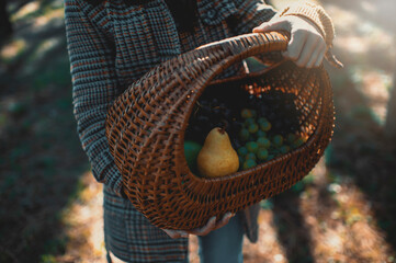 Close up of teenage girl holding basket of fruit on a autumn day