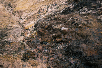 Detalle de la escarcha sobre el terreno