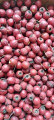 lots of dried
wild hawthorn berries, red in color, close-up.