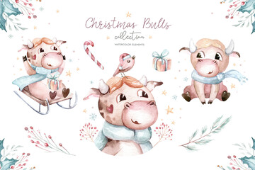 Watercolor cartoon illustration. Symbol of the year 2021. Funny and cute Bull. Christmas illustration.