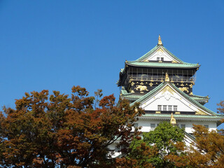 Fototapeta premium 大阪城天守閣と紅葉