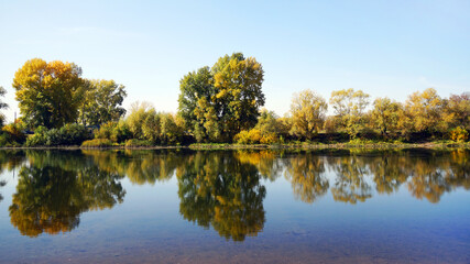 The river Bank in autumn, overgrown with trees and shrubs that are reflected in the water.