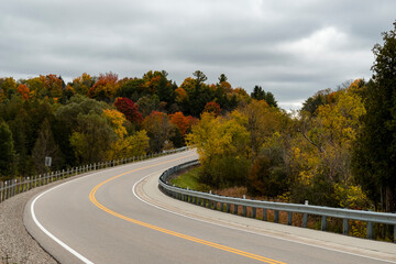 Autumn landscape - Road through bright orange and red trees.