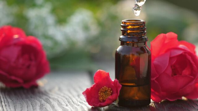 Drop of bulgarian rose essential oil falls from a pipette into a cosmetic bottle, macro. Herbal essence dropping to dark glass on natural background