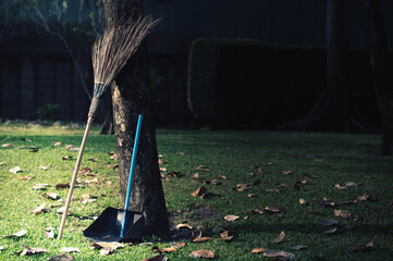 A cleaning broom is placed on the tree.