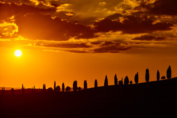 Cypress trees hill at sunset valley of Orcia in Siena province Tuscany region Italy landmark