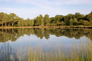 beautiful lake in rural France with  trees reflecting in the water