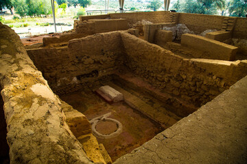 Symbol and stay of animal sacrifice in Tartessian temple