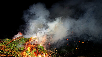 Burning wet branches exuding thick white smoke against the darkness of the night.