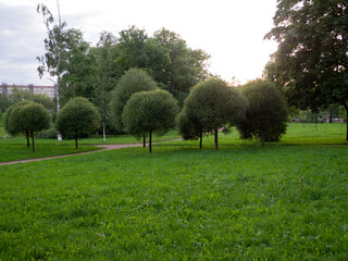 panorama of the summer city Park at sunset