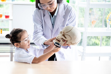 Fototapeta premium Asian attractive woman teacher, using models Human skull for teaching science to a girl students, to people and education concept.