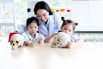 Asian attractive woman teacher, using models Human skull for teaching science to a girl students,...