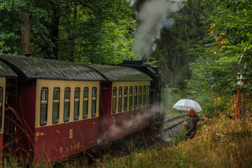 historical narrow-gauge railway Selkebahn in the Harz Mountains on a rainy day stops at a platform. Trees and grasses in autumn. Steam locomotive with red and yellow wagons.