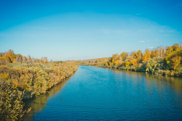 The river surrounded by trees