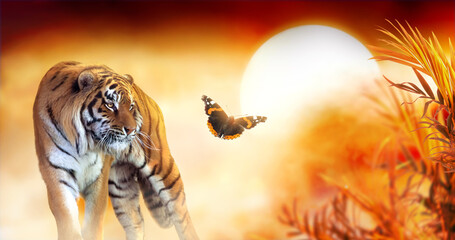 Tiger And Fantasy Sunset In Jungles With Butterfly And Palm Tree. Wildlife Background And Beautiful...