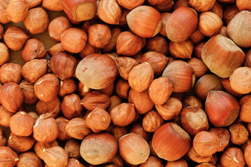 Macro shot of many peeled Hazelnuts mixed with nuts in nutshell. Concept of autumn harvesting. Natural and organic food full of vitamins. Seasonal vegetarian nutrition.