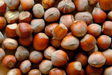 Macro shot of many Hazelnuts in nutshell. Concept of autumn harvesting. Natural and organic food full of vitamins. Seasonal vegetarian nutrition.