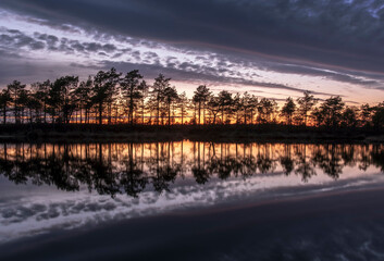 Obraz premium stunningly beautiful view of the evening sky over a forest lake