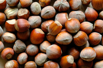 Macro shot of Hazelnuts in nutshell on. Concept of autumn harvesting. Natural and organic food full of vitamins. Seasonal vegetarian nutrition.