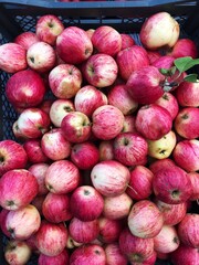 Delicious pink apples on the market macro 