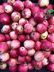Delicious pink apples on the market macro 