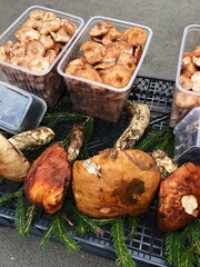 Seasonal fresh mushrooms on the market macro