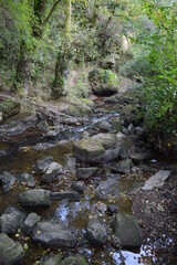 Orvault - Ville verte - La vall&eacute;e du Cens	