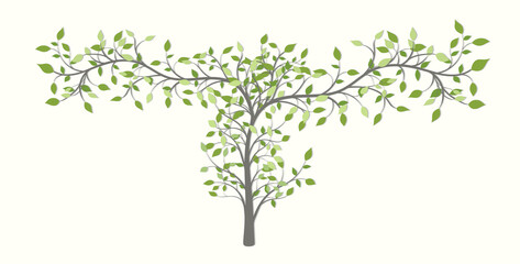 Tree with curved branches in different directions with green leaves