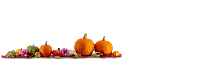 pumpkins and autumn decoration isolated on white