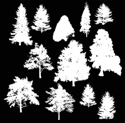 set of twelve coniferous trees on black
