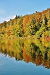 Herbst am Gübsensee, St. Gallen, Ostschweiz