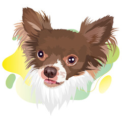 Chihuahua dog vector portrait illustration.Сolor gradient