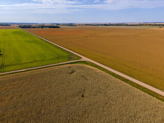 Aerial View of Farm Fields on Summer Day in North Dakota.